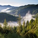 Environmental Action Plan for Canton Sarajevo 2016-2021