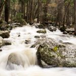 Strategic Environmental Assessment (SEA) of Water Management Plan for Sava River Watershed in FB&H (2016-2021)