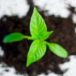 Environmental impact assessment for Bihać bypass and Donji Vakuf bypass projects