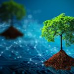 Sustainability Guide for BPO and IT Companies