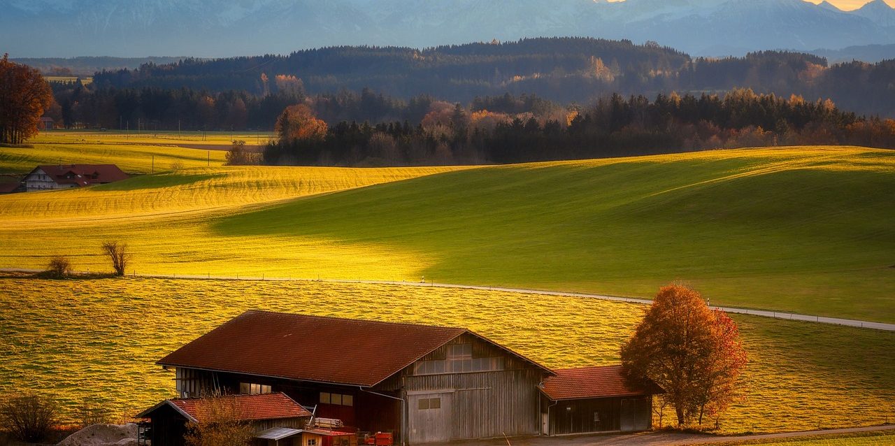 nature-6777935_1280