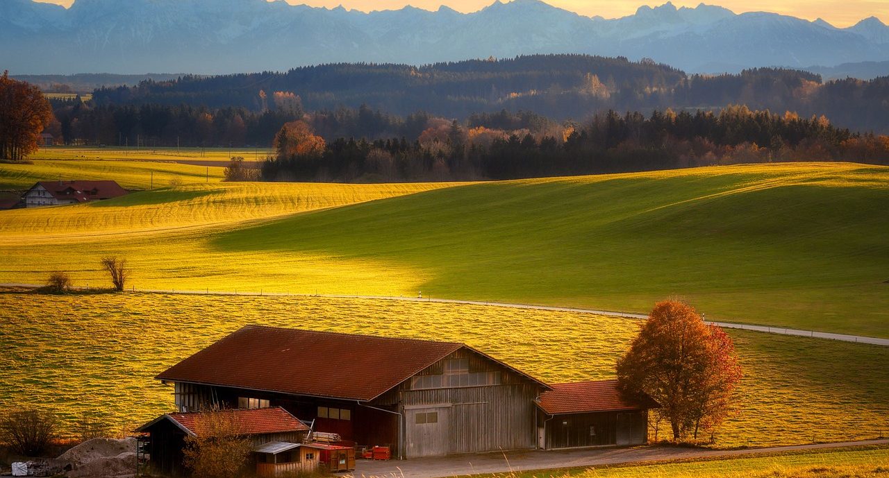 nature-6777935_1280