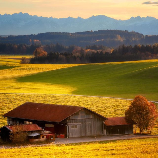 nature-6777935_1280