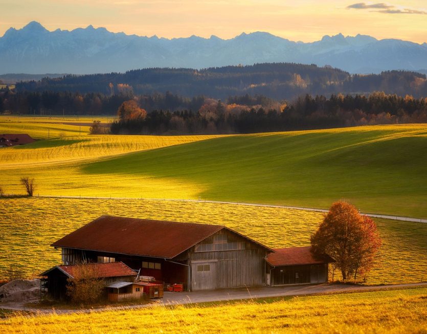 nature-6777935_1280